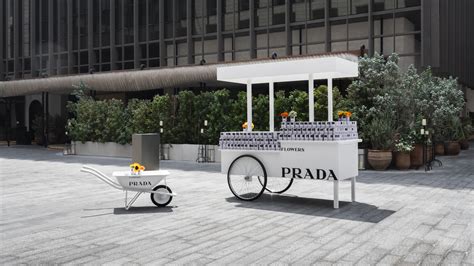 prada flower seed|prada floral designs.